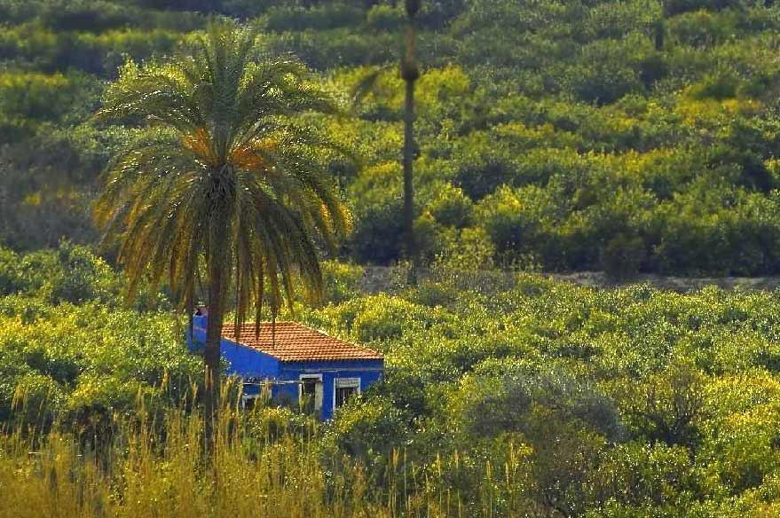 Sol Mediterraneo أرشينا المظهر الخارجي الصورة