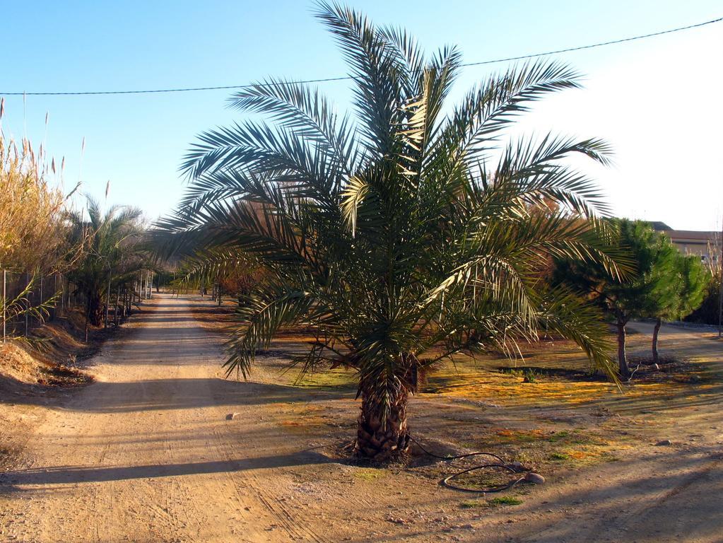 Sol Mediterraneo أرشينا المظهر الخارجي الصورة
